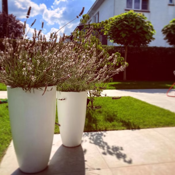 Drainage en Afwatering Zoutleeuw